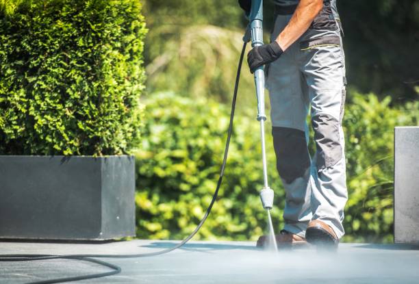 Solar Panel Cleaning in Hokes Bluff, AL