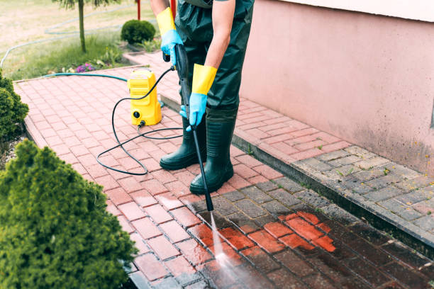 Best Solar Panel Cleaning  in Hokes Bluff, AL